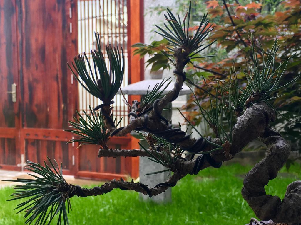 דאלי Bo Nan Homestay מראה חיצוני תמונה