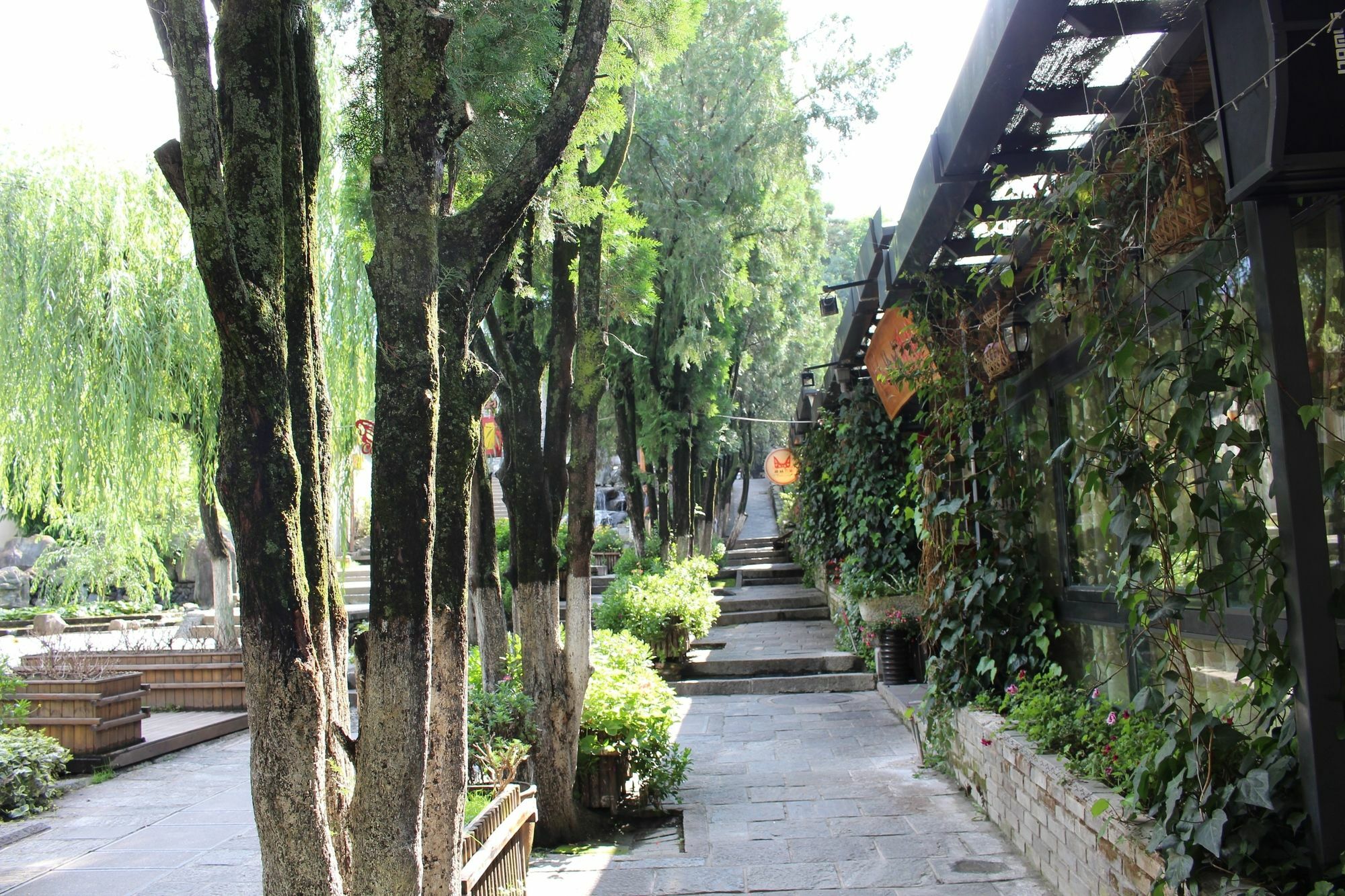 דאלי Bo Nan Homestay מראה חיצוני תמונה